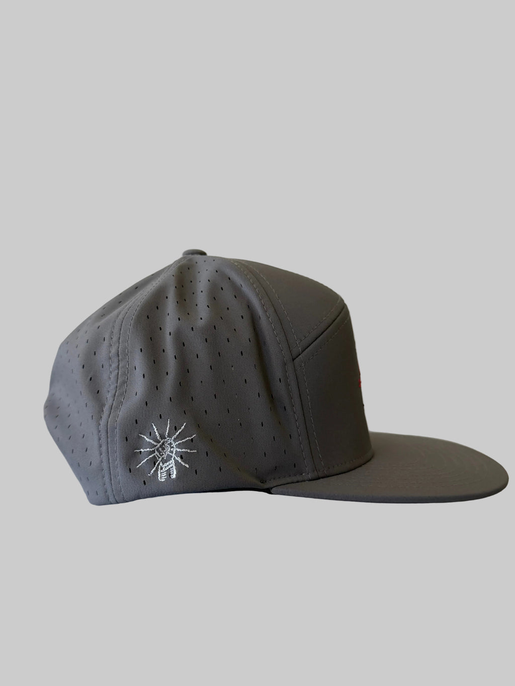 Charcoal cap with a white logo on a light background